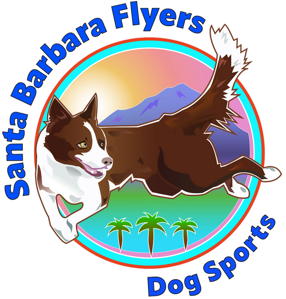 Santa Barbara Flyers