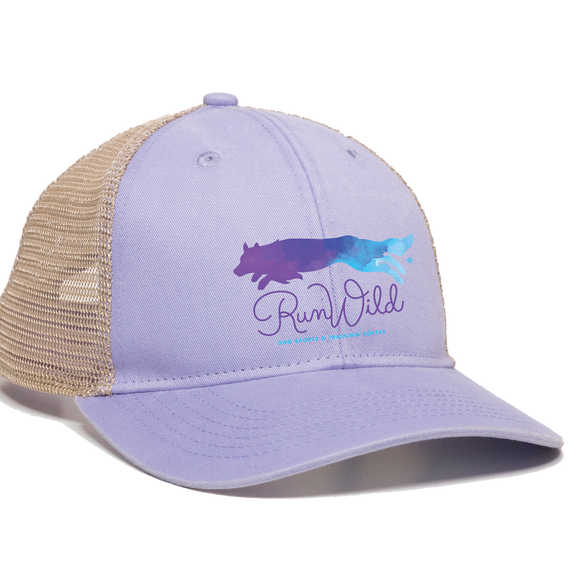 RWDS/Women Hat with Ponytail Slit/PNY
