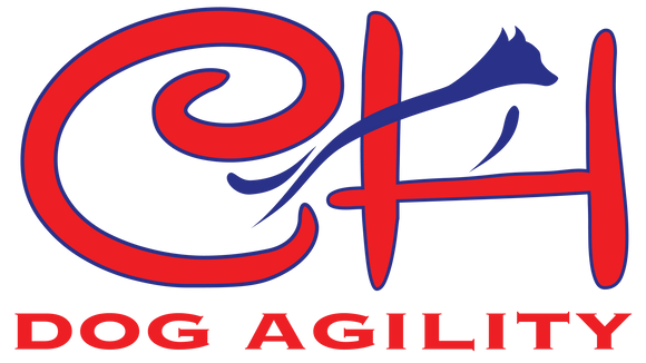 CH Dog Agility