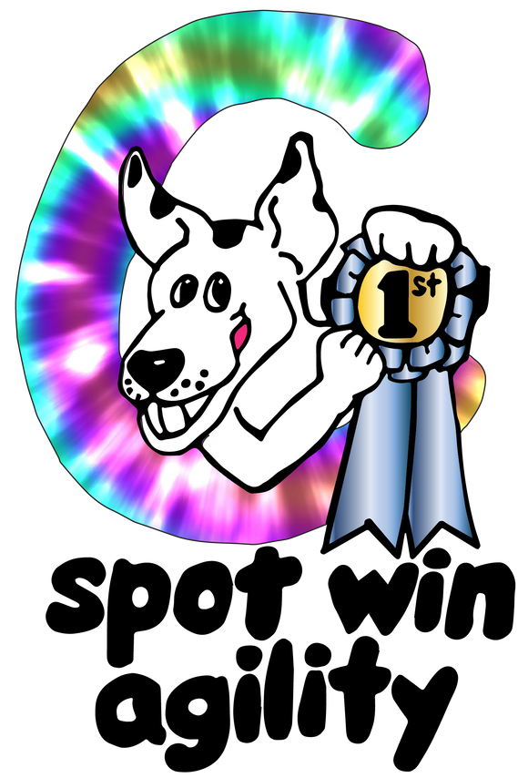 C Spot Win