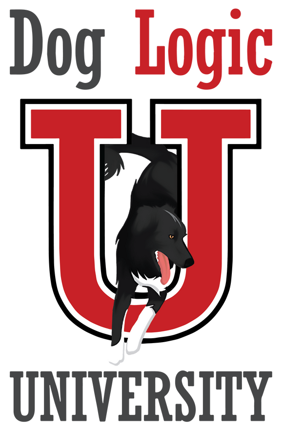Dog Logic University