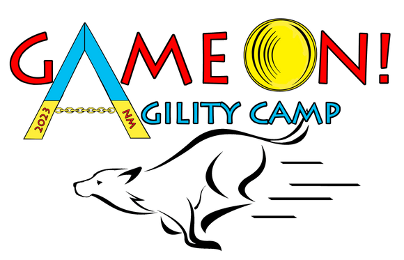 Game On! Agility Camp