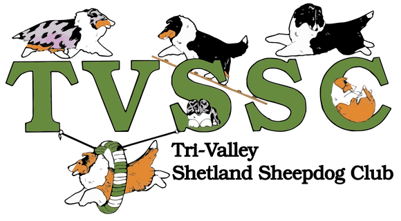 TVSSC