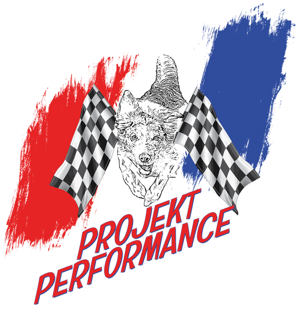 Projekt Performance