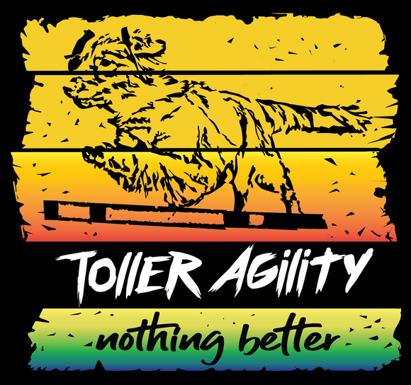 Toller Agility