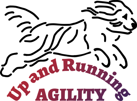 Up and Running Agility