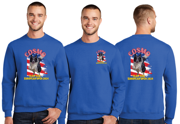 COSMO/Port & Co Crew neck Sweatshirt/PC78