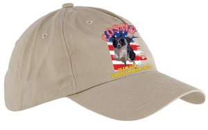 COSMO/5 or 6 Panel Low Profile Hat/BX008 (Copy)