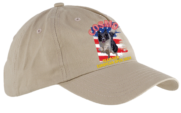 COSMO/5 or 6 Panel Low Profile Hat/BX008 (Copy)