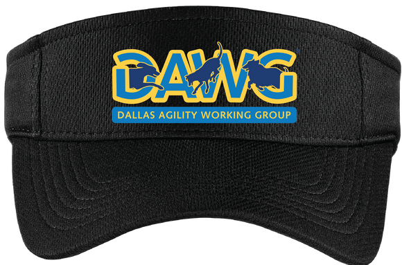 DAWG/Visor/STC27/