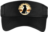 IVRC/Visor/STC27/