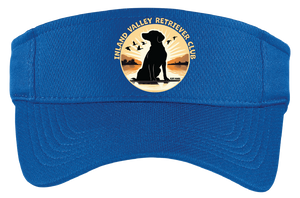IVRC/Visor/STC27/