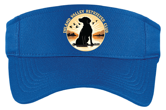 IVRC/Visor/STC27/