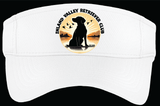 IVRC/Visor/STC27/