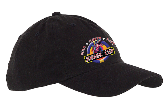 JCUP23/5 or 6 Panel Low Profile Hat/BX008