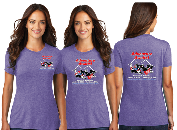 KIMF/Women TriBlend SUPER SOFT Tee/DM130L