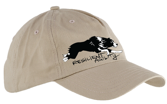 RALR/5 or 6 Panel Low Profile Hat/BX008