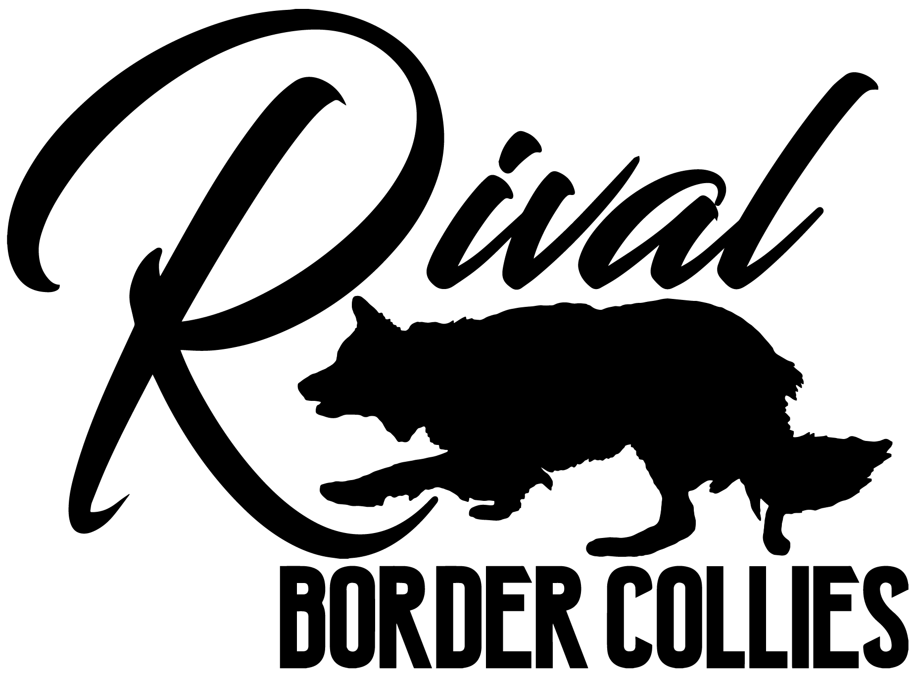 Rival/Stickers Vinyl Laminated/Sticker – Ernie's Agility Pro Shop