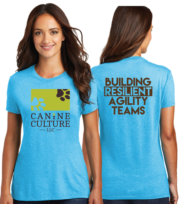 CCUL/Women TriBlend SUPER SOFT Tee/DM130L/