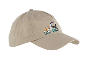 DStar/5 Panel Low Profile Hat/BX008