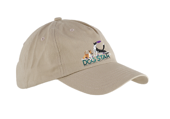 DStar/5 Panel Low Profile Hat/BX008